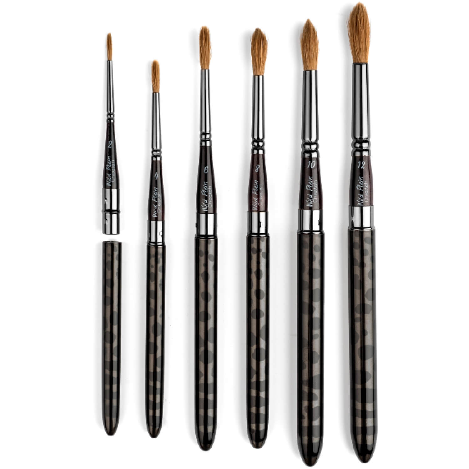 Sable Travel Watercolor Brushes – Budget Friendly??🤔 